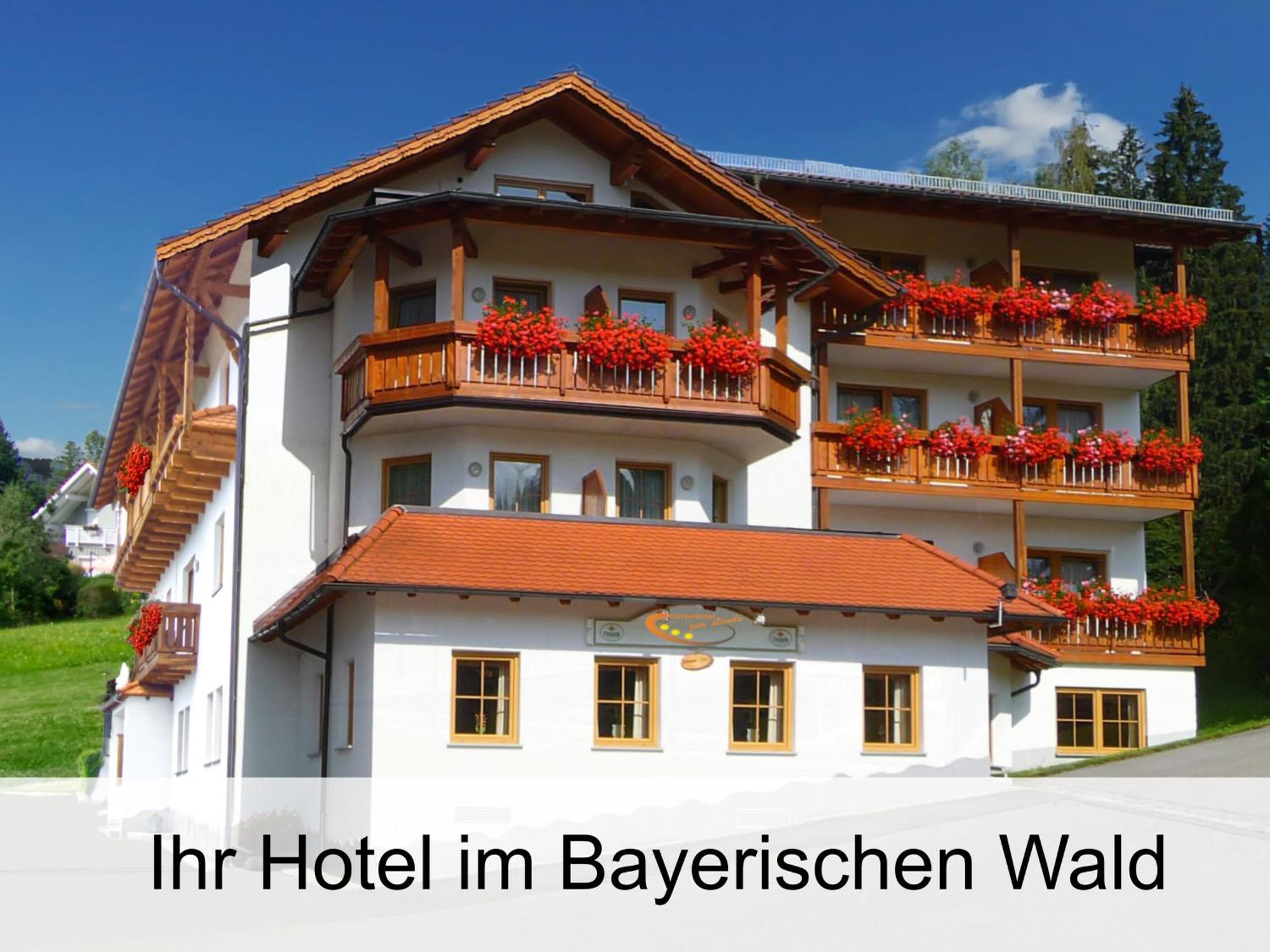 Garnihotel Zur Linde - Bayerischer Wald - Aktivcard Mit 154 Kostenfreien Leistungen - Kostenloser Parkplatz 洛恩堡 外观 照片
